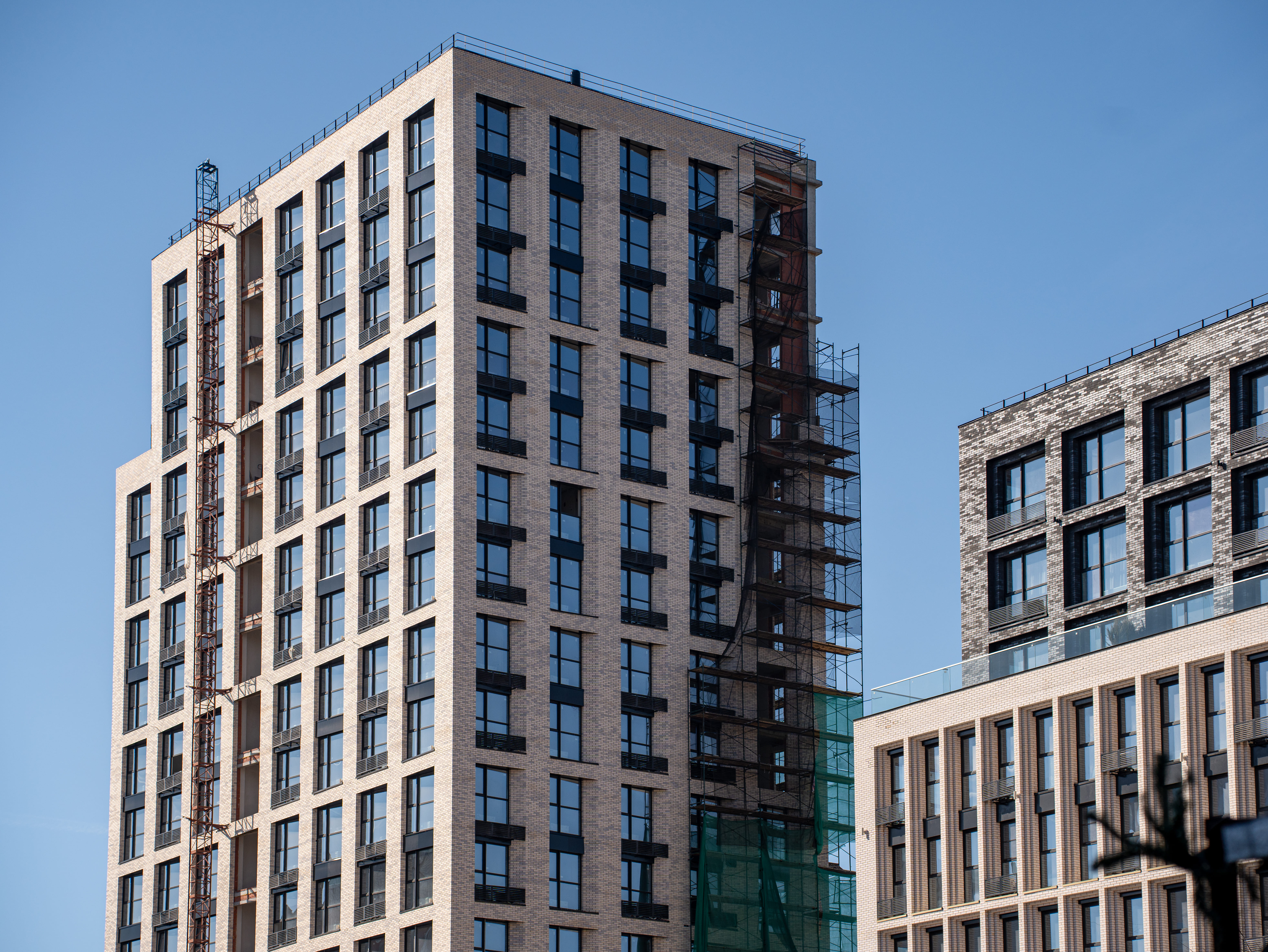 DSC03623 (1) (1).jpg